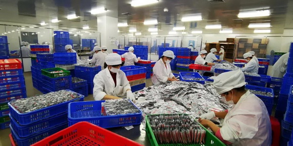 J9国际站-集团最新官网