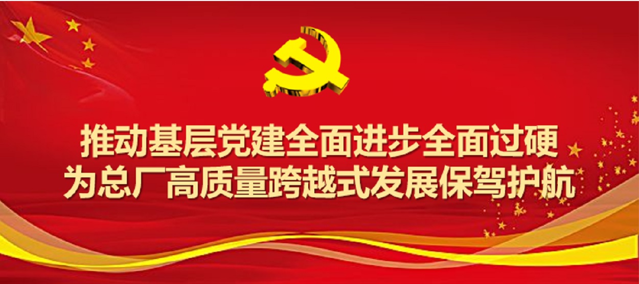 J9国际站圆满完成2019年度党支部事情及党支部书记考评事情