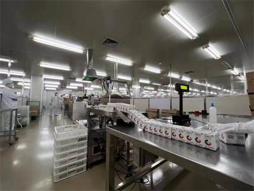 J9国际站-集团最新官网