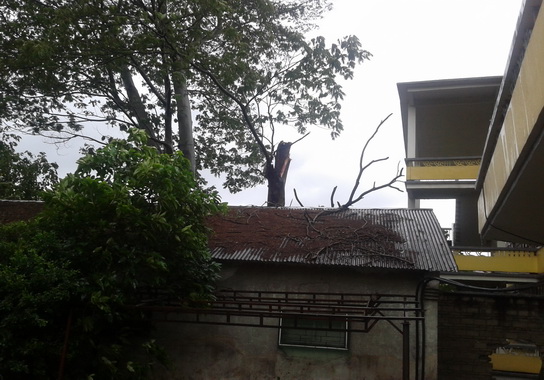 发挥雷锋精神，，，，，，J9国际站总厂员工起劲加入抗台风活动-党团文化-J9国际站