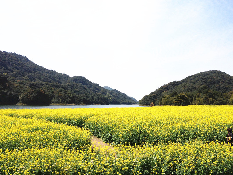 春的气息 春的漂亮 春天我们在一起——记职能部分分会“三?八”踏青活动-党团文化-J9国际站