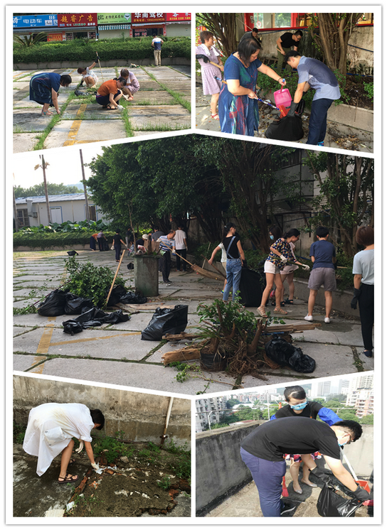 践行党员先进性 清洁厂区做楷模——记第九党支部主题党日活动 - J9国际站