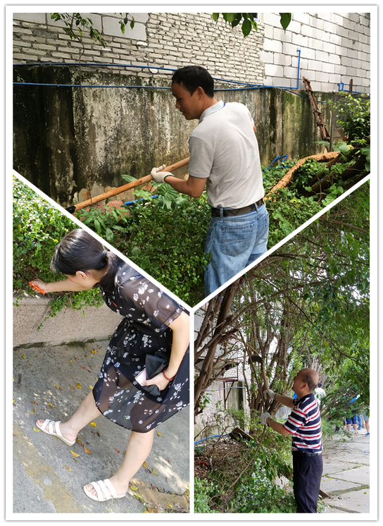 践行党员先进性 清洁厂区做楷模——记第九党支部主题党日活动 - J9国际站