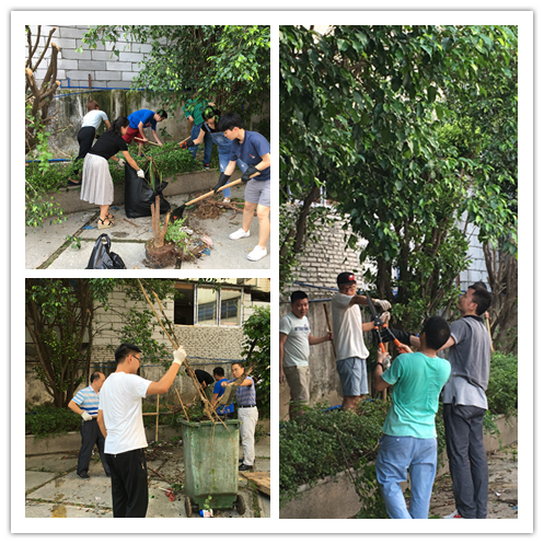 践行党员先进性 清洁厂区做楷模——记第九党支部主题党日活动 - J9国际站